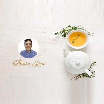 MDT | Álvaro Jara