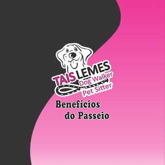 Tais Lemes – Dog Walker – Pet Sitter